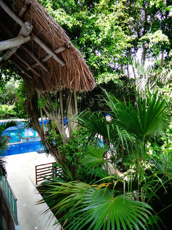פלאייה דל כרמן Casa Tucan Hotel מראה חיצוני תמונה