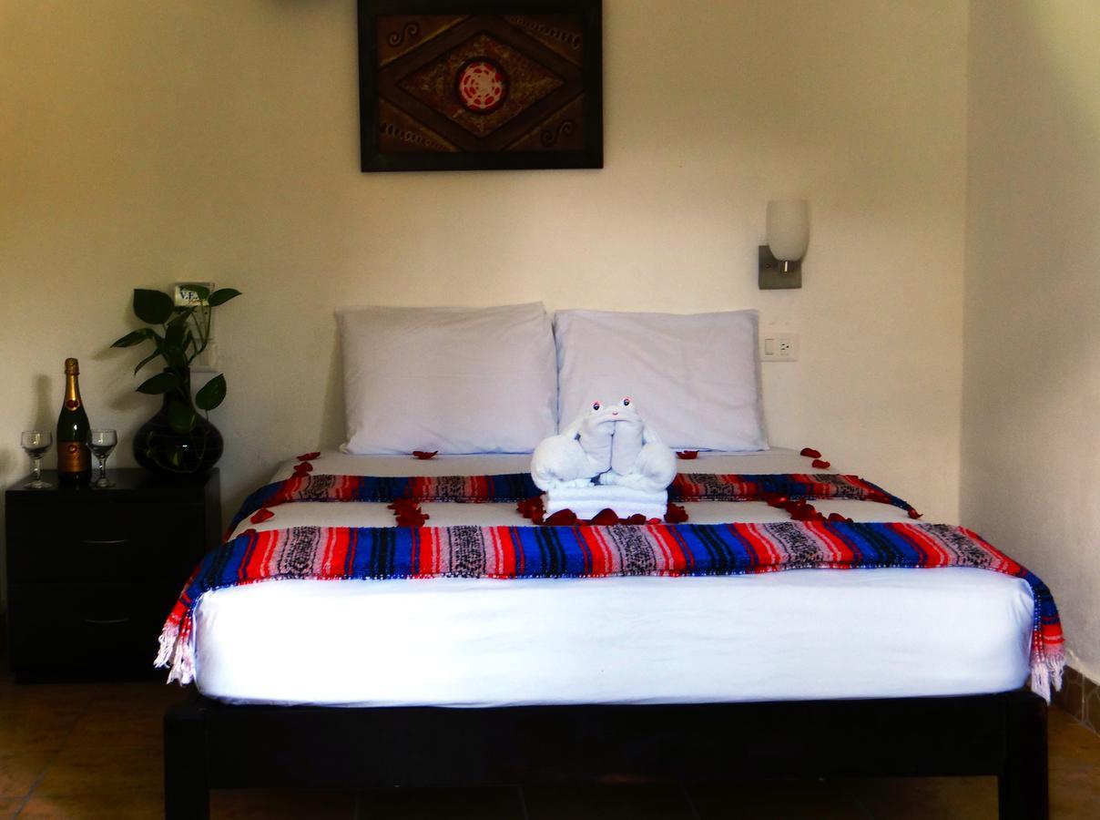 פלאייה דל כרמן Casa Tucan Hotel מראה חיצוני תמונה