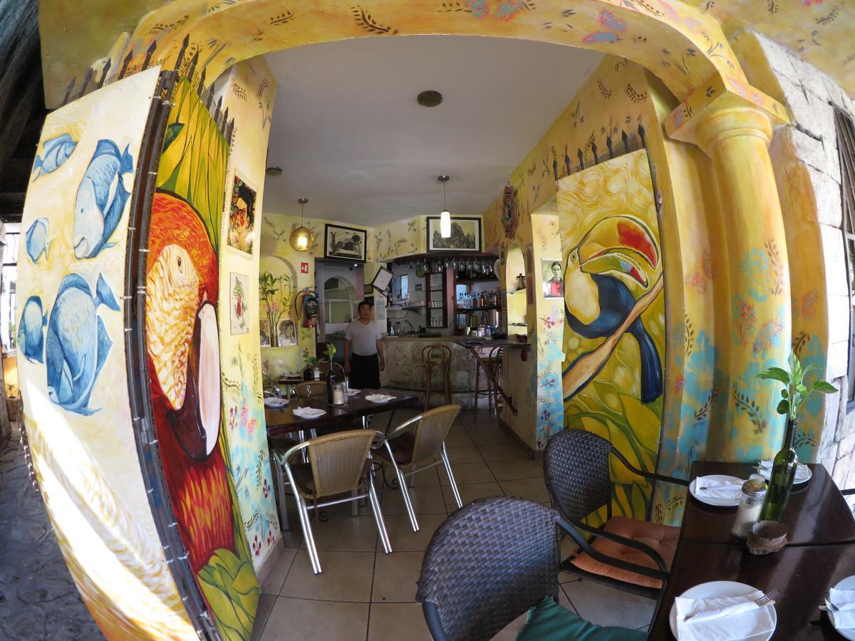 פלאייה דל כרמן Casa Tucan Hotel מראה חיצוני תמונה