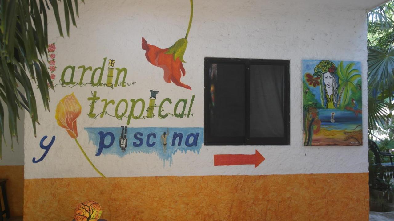 פלאייה דל כרמן Casa Tucan Hotel מראה חיצוני תמונה