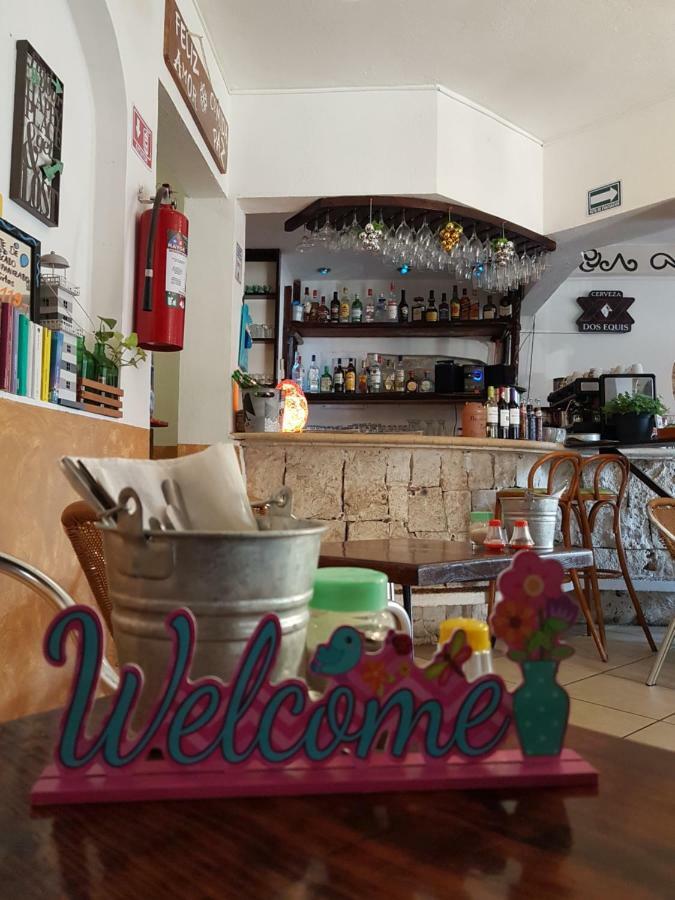 פלאייה דל כרמן Casa Tucan Hotel מראה חיצוני תמונה