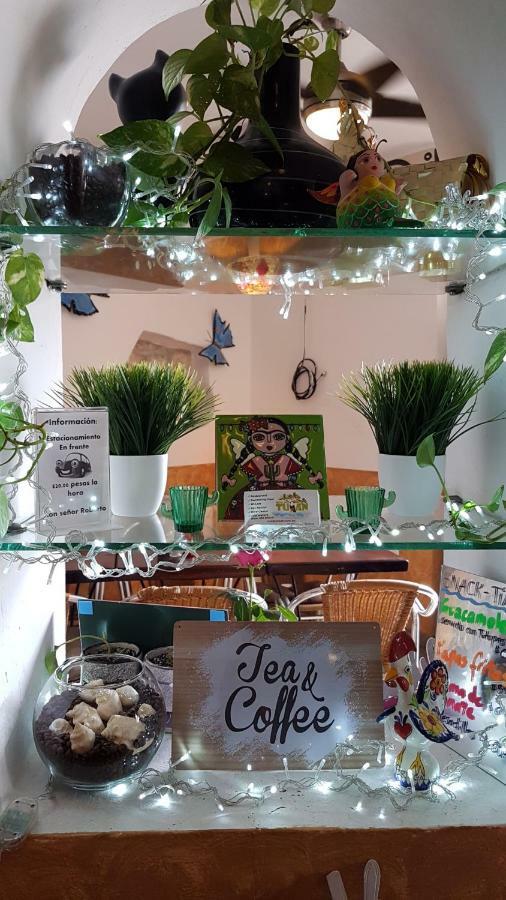 פלאייה דל כרמן Casa Tucan Hotel מראה חיצוני תמונה