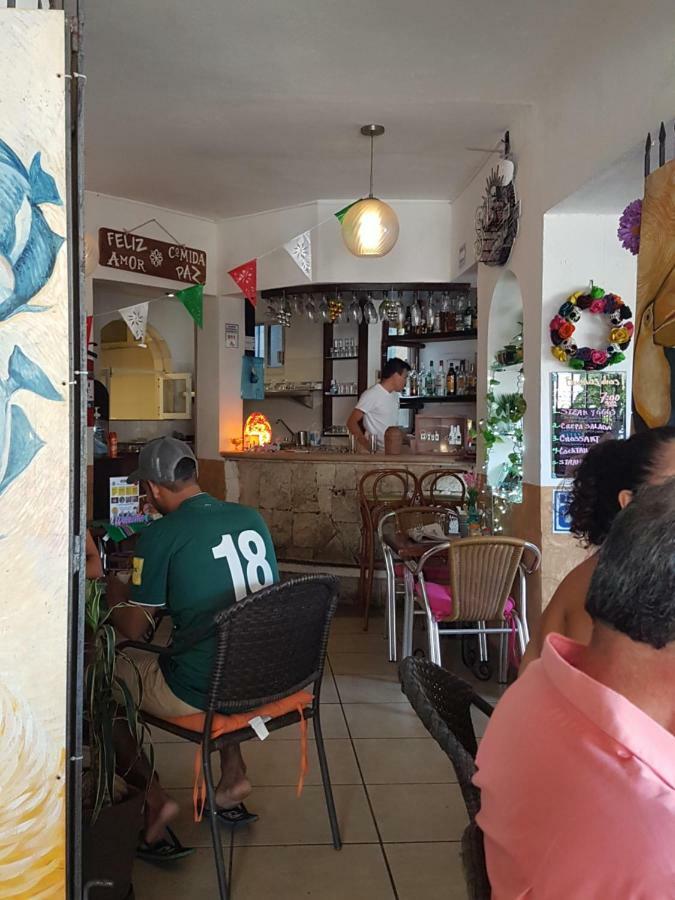 פלאייה דל כרמן Casa Tucan Hotel מראה חיצוני תמונה